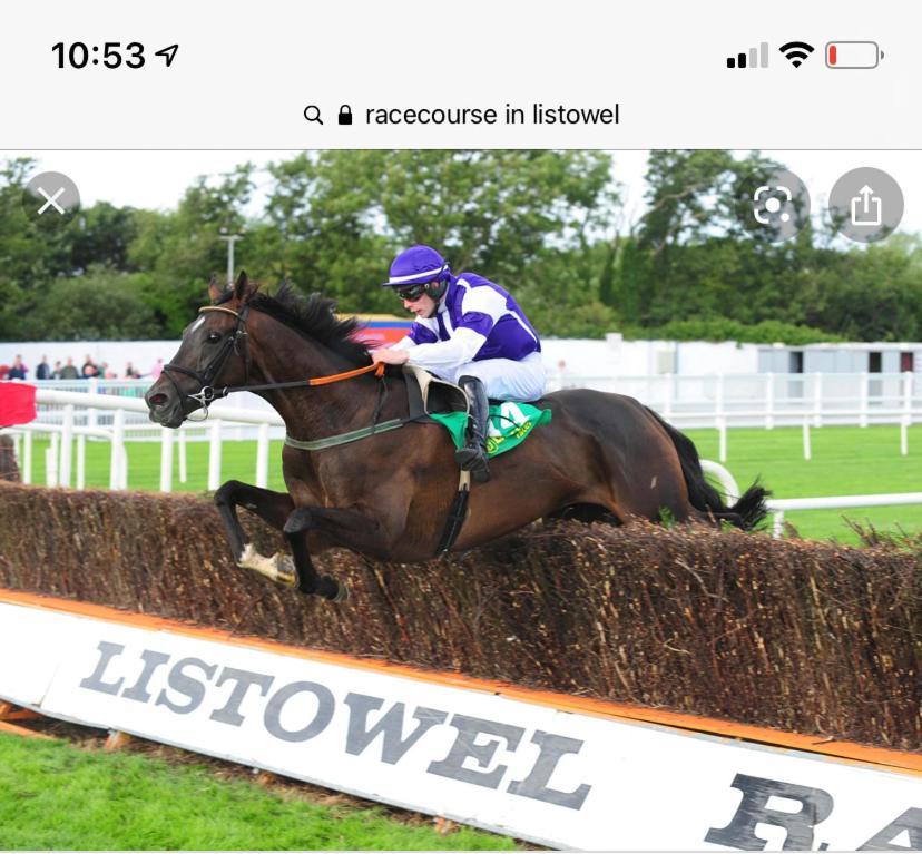 ホテル Racecourse View リストーウェル エクステリア 写真